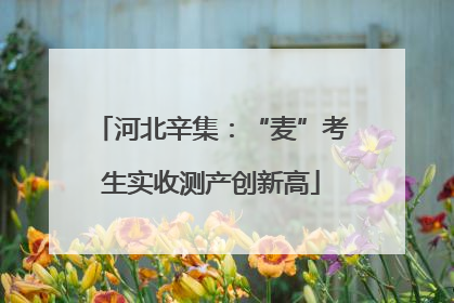 河北辛集：“麦”考生实收测产创新高