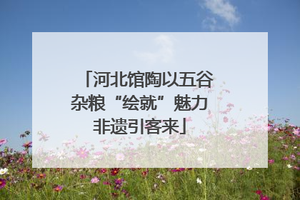 河北馆陶以五谷杂粮“绘就”魅力非遗引客来