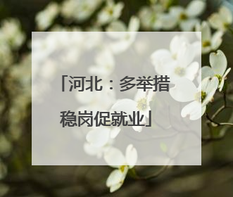 河北：多举措稳岗促就业