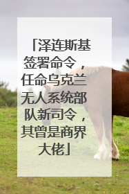 泽连斯基签署命令，任命乌克兰无人系统部队新司令，其曾是商界大佬