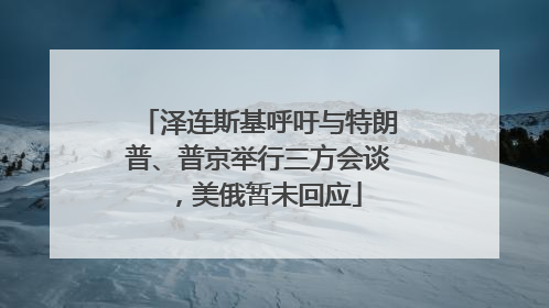 泽连斯基呼吁与特朗普、普京举行三方会谈，美俄暂未回应