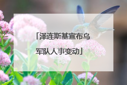 泽连斯基宣布乌军队人事变动