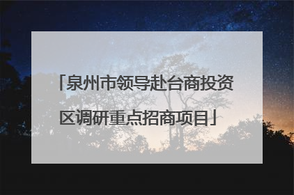 泉州市领导赴台商投资区调研重点招商项目