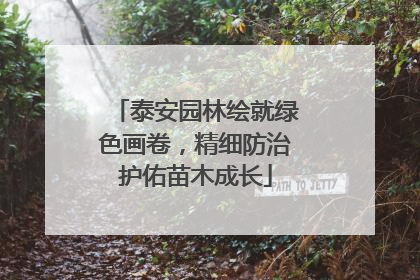 泰安园林绘就绿色画卷，精细防治护佑苗木成长