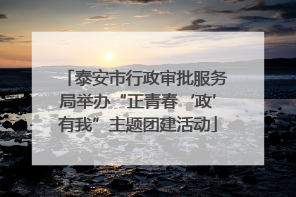 泰安市行政审批服务局举办“正青春‘政’有我”主题团建活动