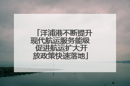 洋浦港不断提升现代航运服务能级 促进航运扩大开放政策快速落地
