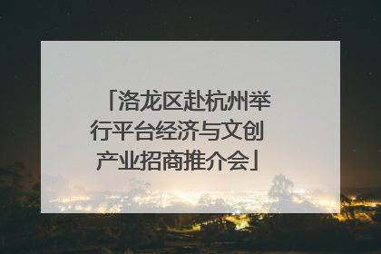 洛龙区赴杭州举行平台经济与文创产业招商推介会
