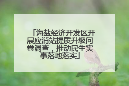海盐经济开发区开展应消站提质升级问卷调查，推动民生实事落地落实