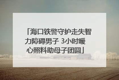 海口铁警守护走失智力障碍男子 3小时暖心照料助母子团圆