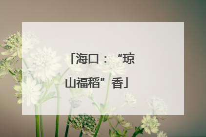 海口：“琼山福稻”香