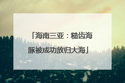 海南三亚：糙齿海豚被成功放归大海