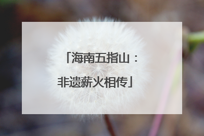 海南五指山：非遗薪火相传