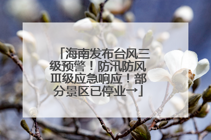 海南发布台风三级预警！防汛防风Ⅲ级应急响应！部分景区已停业→