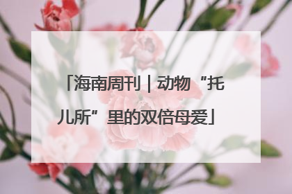 海南周刊｜动物“托儿所”里的双倍母爱