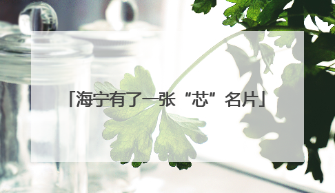 海宁有了一张“芯”名片