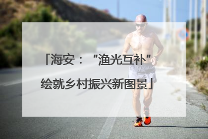 海安：“渔光互补” 绘就乡村振兴新图景