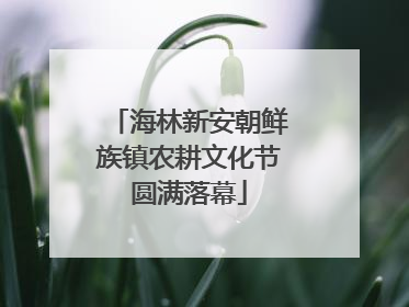 海林新安朝鲜族镇农耕文化节圆满落幕