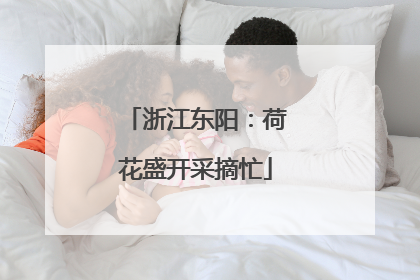 浙江东阳：荷花盛开采摘忙