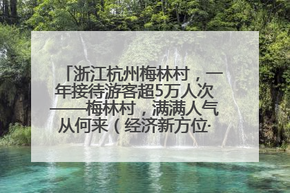 浙江杭州梅林村，一年接待游客超5万人次——梅林村，满满人气从何来（经济新方位·农村消费观察）