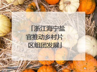 浙江海宁盐官推动乡村片区组团发展