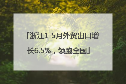 浙江1-5月外贸出口增长6.5%，领跑全国