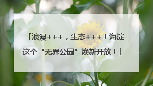 浪漫+++，生态+++！海淀这个“无界公园”焕新开放！
