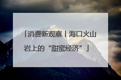消费新观察丨海口火山岩上的“甜蜜经济”
