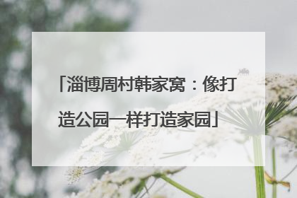 淄博周村韩家窝：像打造公园一样打造家园
