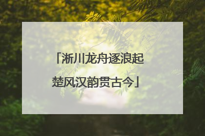 淅川龙舟逐浪起 楚风汉韵贯古今