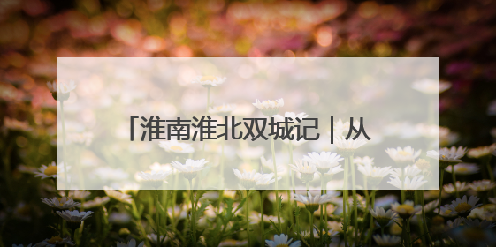 淮南淮北双城记｜从“地下采煤”到“天上助力”——淮北“双新”产业突围记