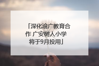 深化渝广教育合作 广安树人小学将于9月投用