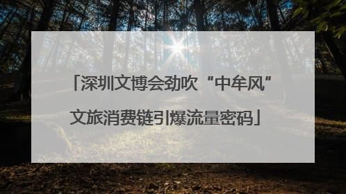 深圳文博会劲吹“中牟风” 文旅消费链引爆流量密码
