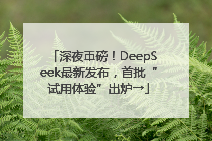 深夜重磅！DeepSeek最新发布，首批“试用体验”出炉→