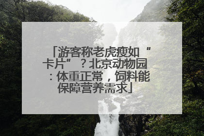 游客称老虎瘦如“卡片”？北京动物园：体重正常，饲料能保障营养需求