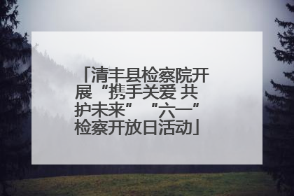 清丰县检察院开展“携手关爱 共护未来”“六一”检察开放日活动