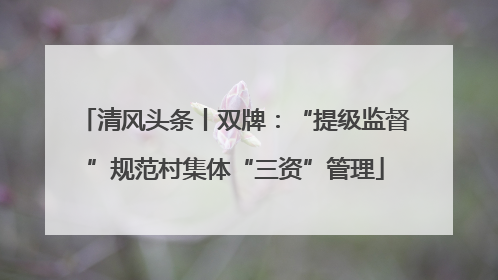 清风头条丨双牌：“提级监督”规范村集体“三资”管理
