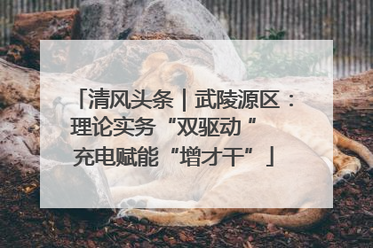 清风头条｜武陵源区：理论实务“双驱动 ” 充电赋能“增才干”