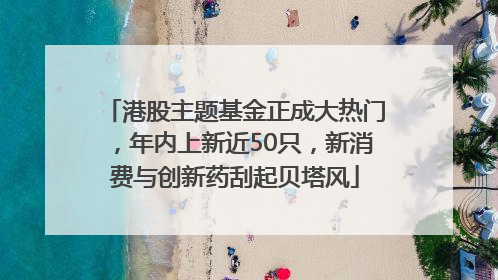港股主题基金正成大热门，年内上新近50只，新消费与创新药刮起贝塔风