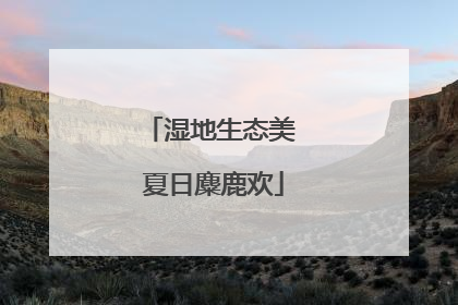 湿地生态美 夏日麋鹿欢