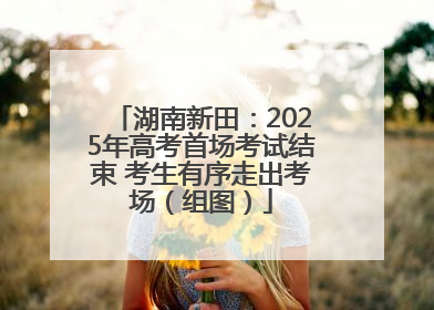 湖南新田：2025年高考首场考试结束 考生有序走出考场（组图）