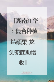 湖南江华：复合种植结硕果 龙头兜底助增收