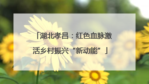湖北孝昌：红色血脉激活乡村振兴“新动能”