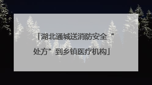湖北通城送消防安全“处方”到乡镇医疗机构