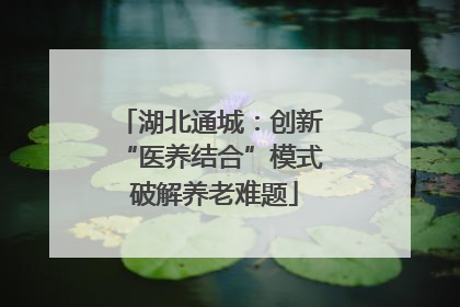 湖北通城：创新 “医养结合”模式 破解养老难题