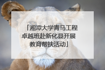 湘潭大学青马工程卓越班赴新化县开展教育帮扶活动