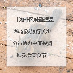 湘非风味碰撞星城 浦发银行长沙分行协办中非经贸博览会美食节