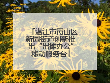 湛江市霞山区新园街道创新推出“出摊办公”移动服务台