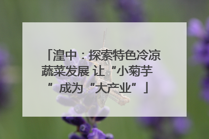 湟中：探索特色冷凉蔬菜发展 让“小菊芋”成为“大产业”