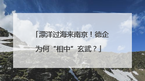 漂洋过海来南京！德企为何“相中”玄武？
