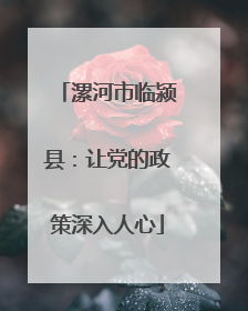 漯河市临颍县：让党的政策深入人心